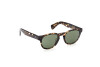 Sunglasses Tod's TO0324 (52N)