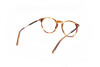 Eyeglasses Tod's TO5265 (053)