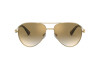 Sunglasses Valentino VA 2034 (30026E)