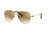 Sunglasses Valentino VA 2034 (30026E)