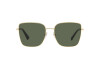 Sunglasses Valentino VA 2054 (300271)