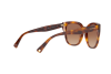 Sunglasses Valentino VA 4040 (501113)