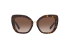 Sunglasses Valentino VA 4057 (500213)