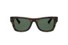 Sunglasses Valentino VA 4066 (500271)
