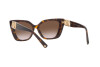 Sonnenbrille Valentino VA 4073 (500213)