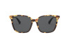 Sunglasses Valentino VA 4078 (503687)