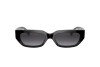 Sunglasses Valentino VA 4080 (50018G)