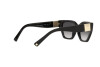 Sunglasses Valentino VA 4110 (50018G)