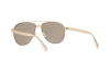 Sunglasses Versace VE 2209 (1252V3)