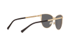 Sunglasses Versace VE 2211 (100287)