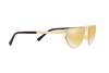 Sunglasses Versace VE 2213 (10027P)