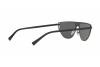 Sunglasses Versace VE 2213 (100987)