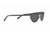 Sunglasses Versace VE 2213 (100987)