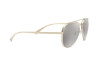 Sunglasses Versace VE 2217 (12526G)