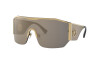 Sunglasses Versace VE 2220 (10025A)