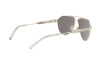 Sonnenbrille Versace VE 2223 (10025A)