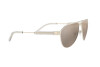 Sonnenbrille Versace VE 2223 (10025A)