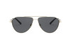 Sonnenbrille Versace VE 2223 (100287)