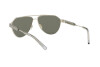 Sunglasses Versace VE 2223 (12527P)