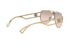 Sunglasses Versace VE 2225 (10027I)