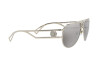 Sunglasses Versace VE 2225 (12526G)