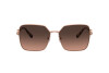 Sunglasses Versace VE 2227 (1466G9)