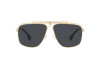Sunglasses Versace VE 2242 (100287)