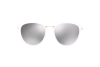 Sunglasses Versace VE 4366 (401/6G)