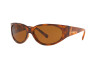 Sunglasses Versace VE 4386 (511973)