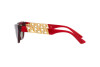 Sunglasses Versace VE 4419 (388/2)