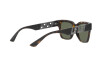 Sunglasses Versace VE 4421 (108/V8)