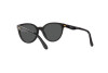 Sunglasses Versace VK 4427U (GB1/87)