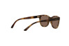 Sunglasses Vogue VJ 2010 (W65673)