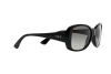 Sunglasses Vogue VO 2843S (W44/11)
