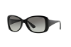 Sunglasses Vogue VO 2843S (W44/11)