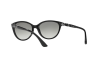 Lunettes de soleil Vogue VO 2894SB (W44/11)