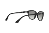 Lunettes de soleil Vogue VO 2894SB (W44/11)