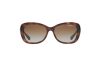 Sunglasses Vogue VO 2943SB (W656T5)