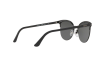 Sunglasses Vogue VO 4089S (352/6G)