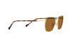 Lunettes de soleil Vogue VO 4257S (280/83)