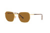 Lunettes de soleil Vogue VO 4257S (280/83)