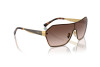 Солнцезащитные очки Vogue VO 4302S (280/13)