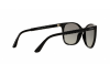 Lunettes de soleil Vogue VO 5032S (W44/11)