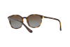 Lunettes de soleil Vogue VO 5051S (W656T5)