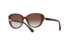 Lunettes de soleil Vogue VO 5092SB (238613)