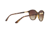 Lunettes de soleil Vogue VO 5165S (W65613)