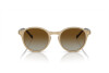 Sunglasses Vogue VO 5327S (W900T5)