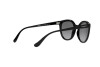 Sonnenbrille Vogue VO 5427S (W44/11)