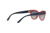 Lunettes de soleil Vogue VO 5429S (29934L)