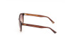 Sunglasses Web WE0292 (52G)